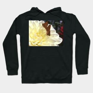 Butterflies on a Yellow Dahlia Hoodie